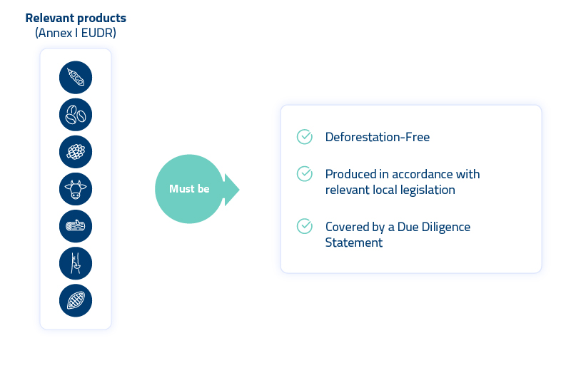 WEB_Optchain for EUDR Compliance